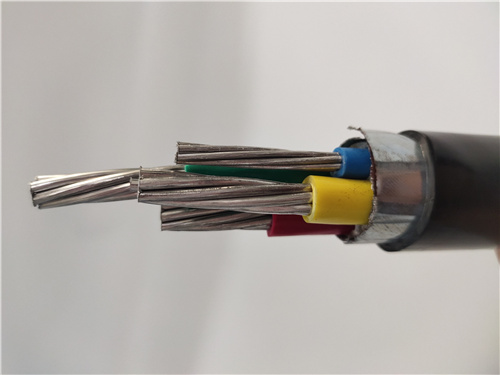 聚氯乙烯绝缘聚氯乙烯护套电力电缆VLV22 3X25+1X16